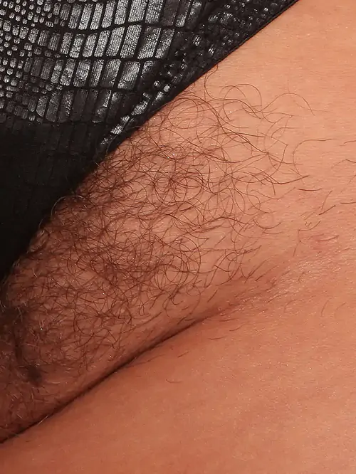 Stark behaarte Muschis